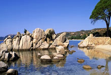 天涯论坛最惊人的十大神贴盘点